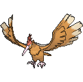 Fearow - X Y (Normal)