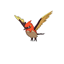 Fletchinder - Bank (Shiny)