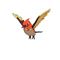 Fletchinder - Omega Ruby Alpha Sapphire (Shiny)
