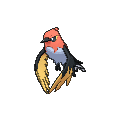 Fletchinder - X Y (Normal)