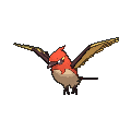 Fletchinder - X Y (Shiny)