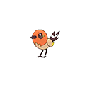 Fletchling - Omega Ruby Alpha Sapphire (Shiny)