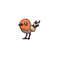 Fletchling - X Y (Shiny)