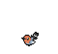 Fletchling - Sword Shield