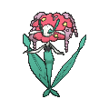 Florges - X Y (Normal)