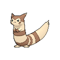 Furret - X Y (Normal)