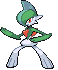 Gallade - Black 2 White 2 Black White Animated (Normal)