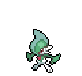 Gallade - Sword Shield (Normal)