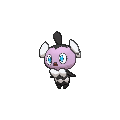 Gothita - X Y (Normal)