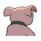 Granbull - Diamond Pearl (Back View (Shiny))