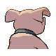 Granbull - HeartGold SoulSilver (Back View (Shiny))