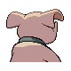 Granbull - Platinum (Back View (Shiny))