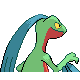 Grovyle - HeartGold SoulSilver (Back View)