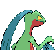 Grovyle - Platinum (Back View)