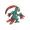 Grovyle - Black White (Back View (Shiny))