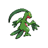 Grovyle - Black White (Back View)