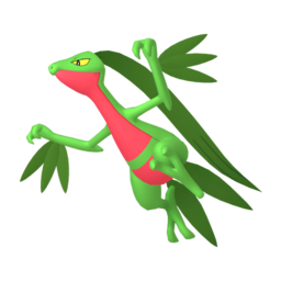Grovyle - Home