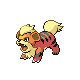 Growlithe - Diamond Pearl (Normal)