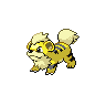 Growlithe - Black White (Shiny)