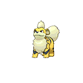 Growlithe - Omega Ruby Alpha Sapphire (Shiny)