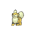 Growlithe - X Y (Shiny)