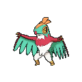 Hawlucha - X Y (Normal)