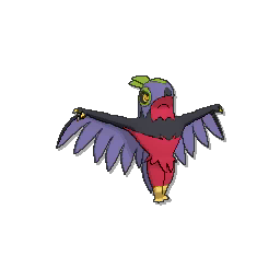 Hawlucha - Ultra Sun Ultra Moon