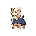 Herdier - X Y (Normal)