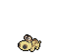 Hippopotas - Sword Shield (Normal)
