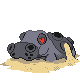 Hippowdon - HeartGold SoulSilver (Normal)
