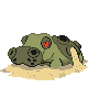 Hippowdon - HeartGold SoulSilver (Shiny)
