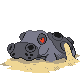 Hippowdon - Platinum (Normal)
