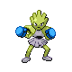 Hitmonchan - HeartGold SoulSilver (Shiny)