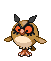 Hoothoot - Black 2 White 2 Black White Animated (Normal)