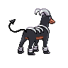 Houndoom - Black White (Back View)
