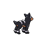 Houndour - Black White (Back View)