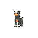 Houndour - Bank (Normal)