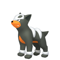 Houndour - Home