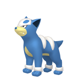Houndour - Home