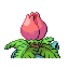 Ivysaur - FireRed LeafGreen (Back View)