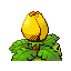 Ivysaur - Ruby Sapphire (Back View (Shiny))