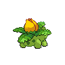 Ivysaur - Black White (Back View (Shiny))