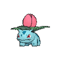 Ivysaur - X Y (Normal)