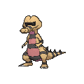 Krokorok - X Y (Normal)