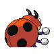 Ledyba - HeartGold SoulSilver (Back View)
