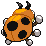 Ledyba - Black 2 White 2 Black White Animated (Back View (Shiny))