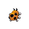 Ledyba - Black White (Back View (Shiny))