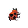 Ledyba - Black White (Back View)