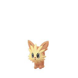 Lillipup - GO (Normal)