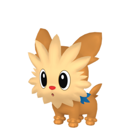 Lillipup - Home